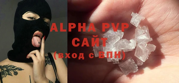 прущие грибы Осинники