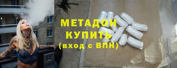 прущие грибы Осинники
