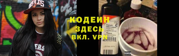 прущие грибы Осинники