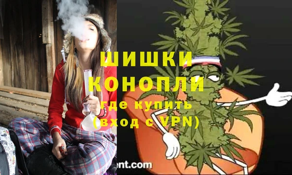 прущие грибы Осинники
