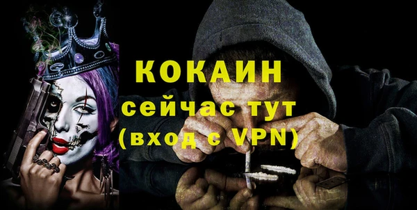 прущие грибы Осинники