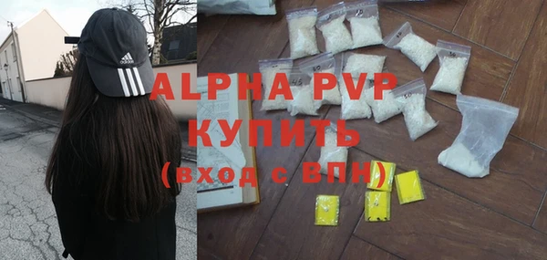 прущие грибы Осинники