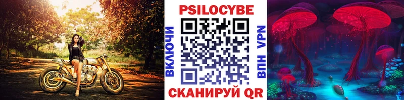 Галлюциногенные грибы Psilocybine cubensis Купить где Новосибирск